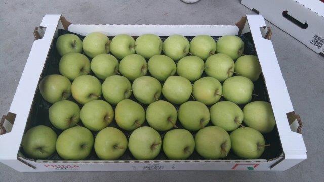 Prima 2000 Äpfel, Birnen, Pflaumen, Fruchtexport, Gemüse 15