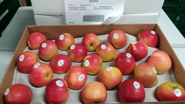 Prima 2000 Äpfel, Birnen, Pflaumen, Fruchtexport, Gemüse 12