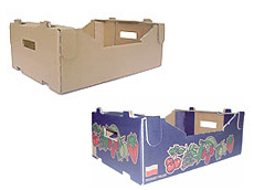 Prima 2000 Äpfel, Birnen, Pflaumen, Fruchtexport, Gemüse 16